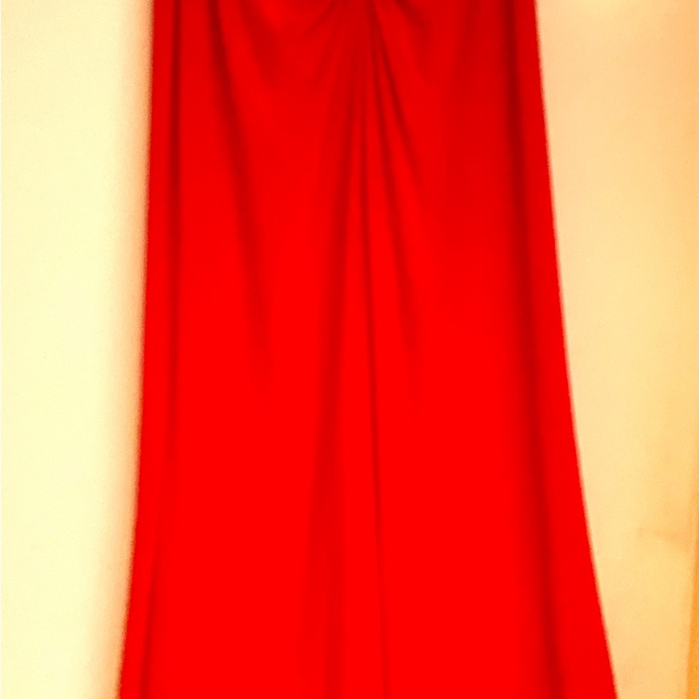 Adrianna Papell Red Ruched Maxi Skirt